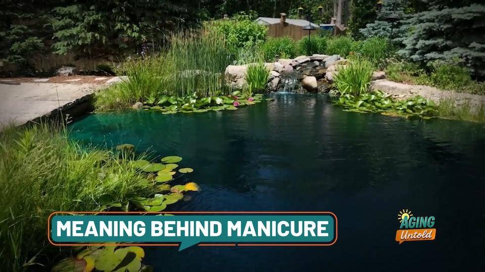 A man in Wisconsin transformed his yard after a difficult diagnosis and it is now an oasis...